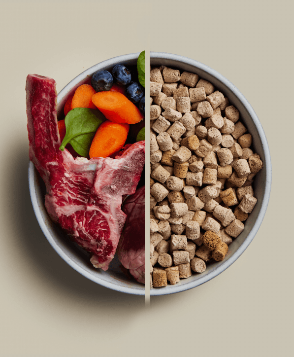 Split bowl comparison showing fresh raw meat with vegetables versus freeze dried raw dog food