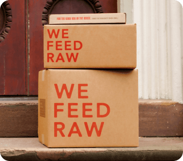 Two stacked We Feed Raw boxes on a doorstep