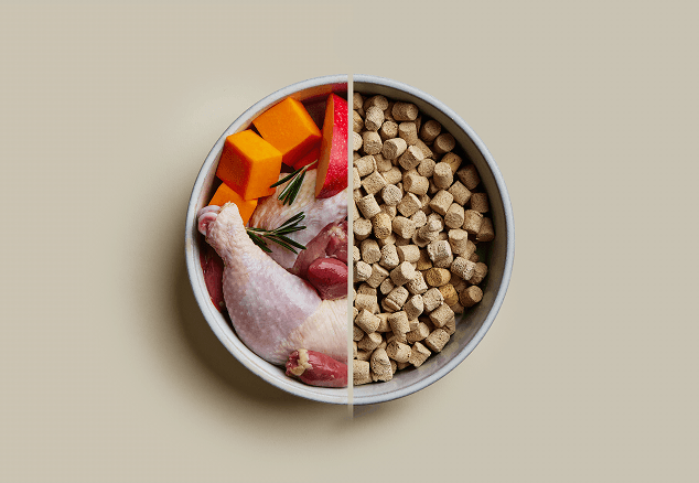 Split bowl comparison showing fresh raw meat with vegetables and fruit versus freeze dried raw dog food