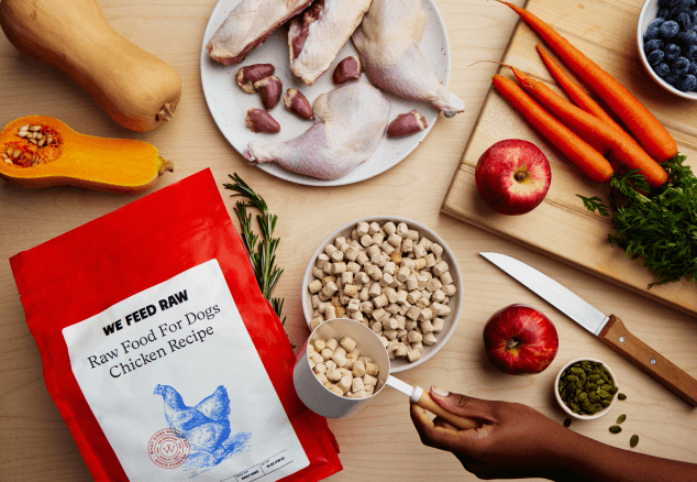 Raw dog food ingredients spread on wooden cutting board including fresh chicken, butternut squash, carrots, apples, blueberries, and a We Feed Raw branded package featuring a blue chicken logo.