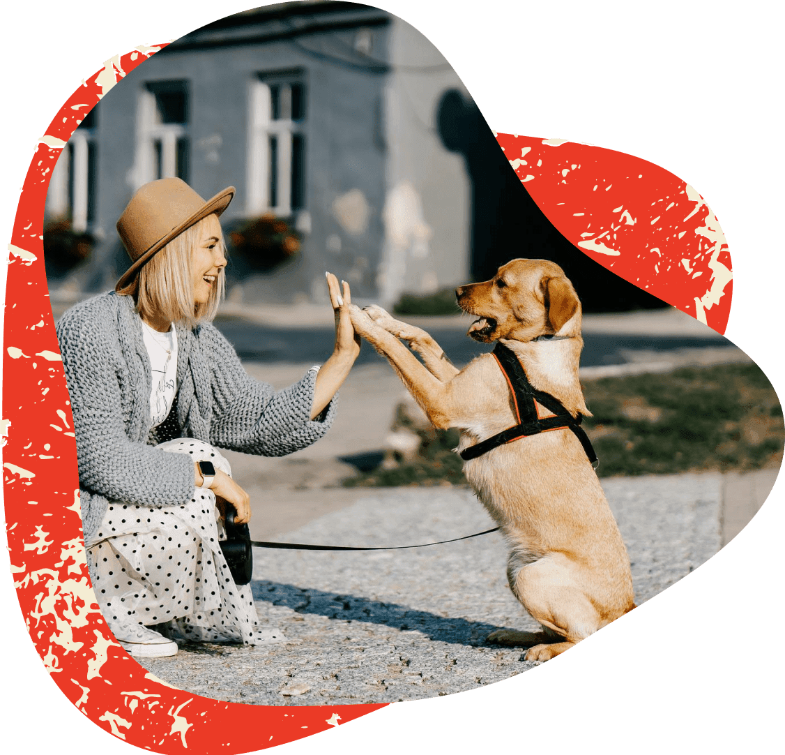 Happy puppy playing with owner