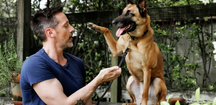 A man with short dark hair and a beard, wearing a navy blue t-shirt, is interacting with a German Shepherd dog. The dog is standing on its hind legs with one paw raised, looking alert and happy with its tongue out. They are in an outdoor setting with greenery and a fence visible in the background.