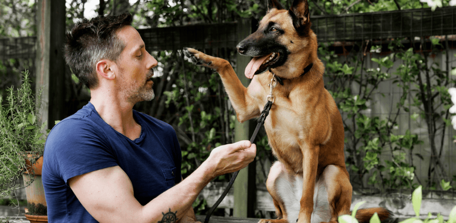 A man with short dark hair and a beard, wearing a navy blue t-shirt, is interacting with a German Shepherd dog. The dog is standing on its hind legs with one paw raised, looking alert and happy with its tongue out. They are in an outdoor setting with greenery and a fence visible in the background.