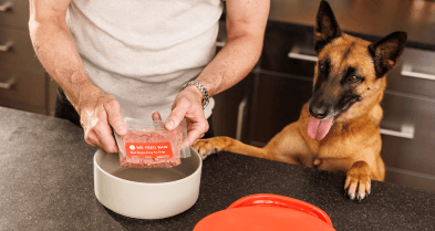 Person preparing WeFeedRaw pre-made raw dog food while their German Shepherd eagerly waits beside the food bowl