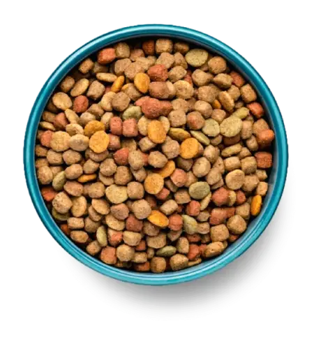 Dog food bowl full of ultra-processed Kibble food