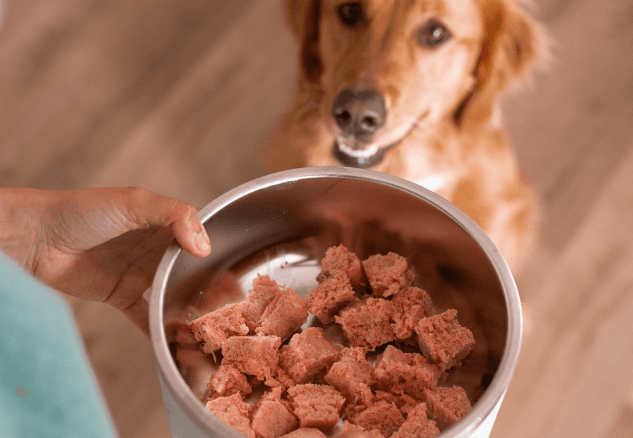 Raw beef patties portioned for dog food meal prep